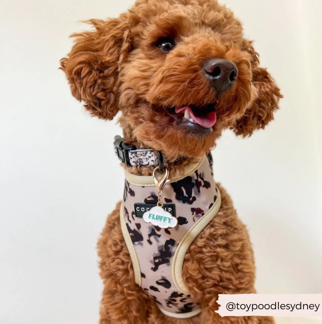 Fluffy Dog Collar Charm
