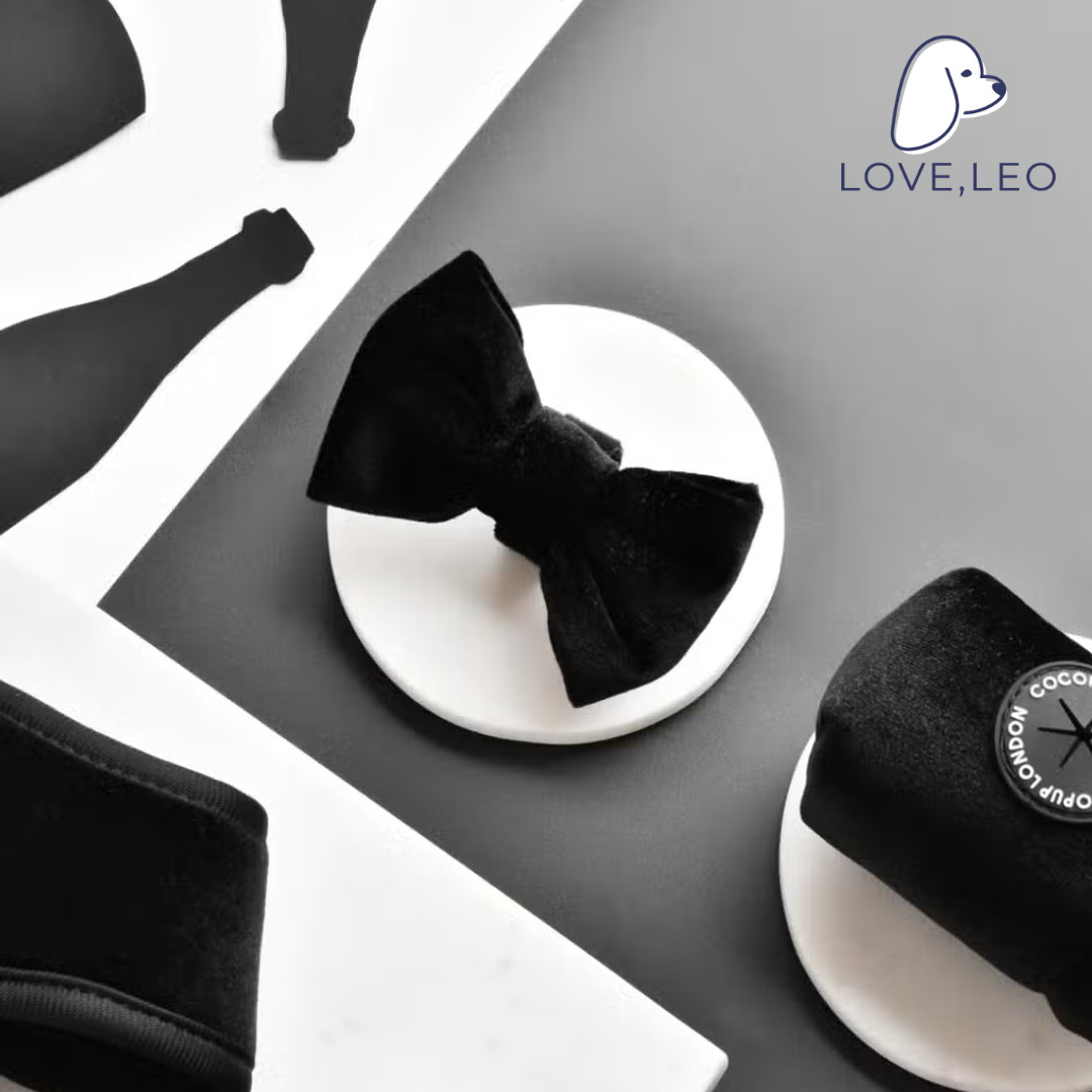 LUXE Velvet Bow Tie - Noir