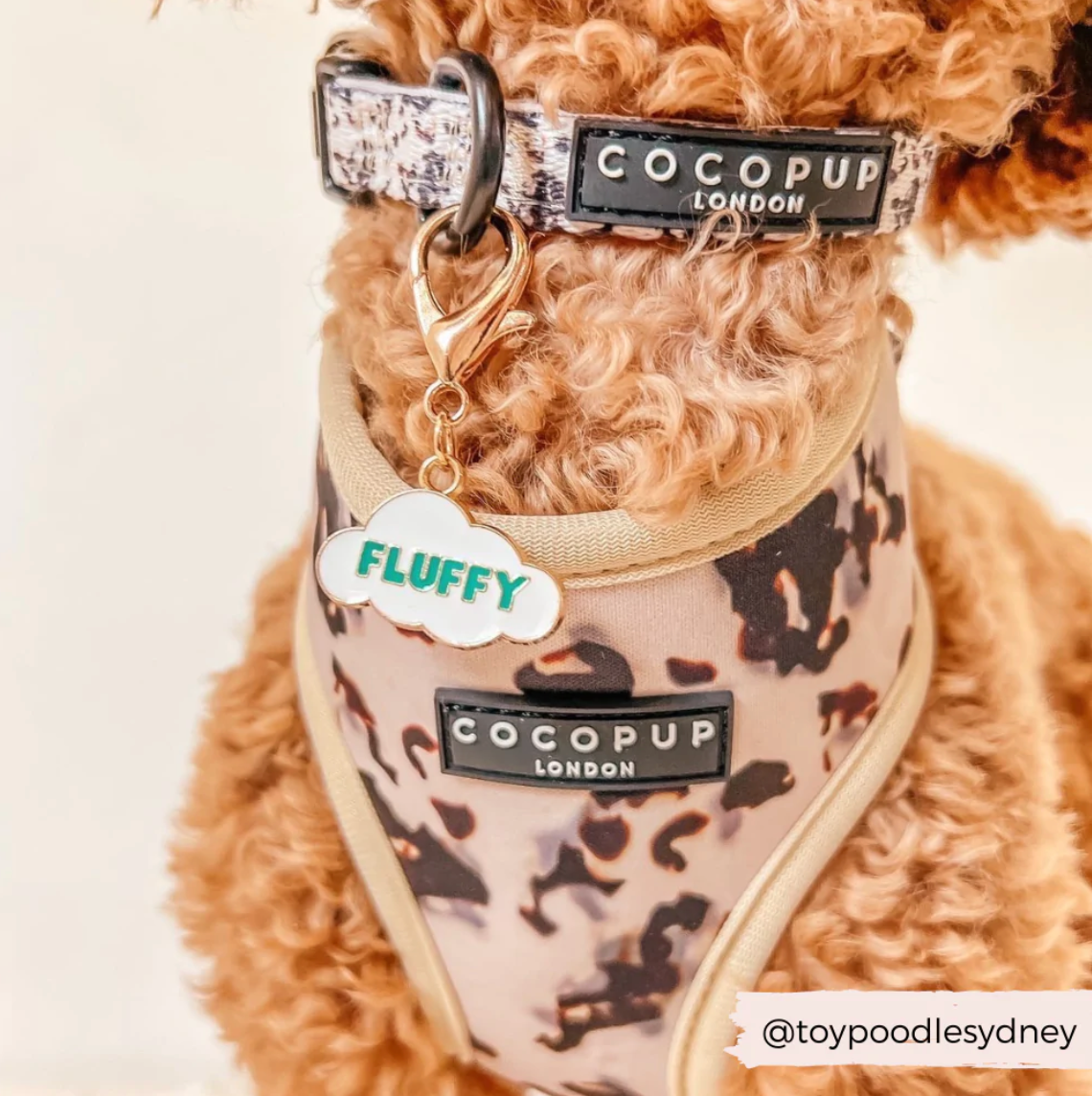 Fluffy Dog Collar Charm