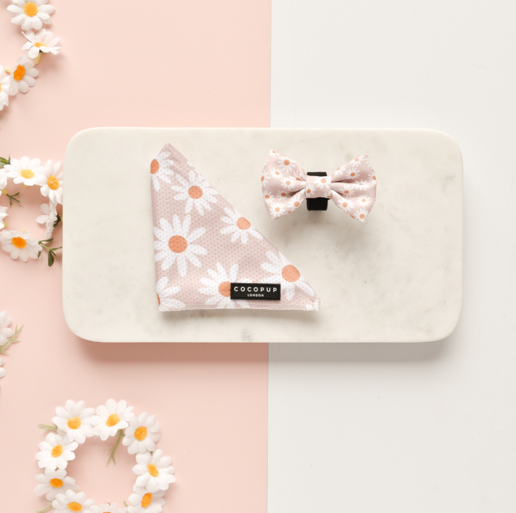 We love florals and our super sweet Daisy Chain Bandana is the most PAWfect design for Spring and Summer! Keep things simple and pawfectly chic with our Cocopup range of Bandanas. Perfect for achieving that effortlessly cool look, just like your hooman! Dimensions: 50cm x 50cm Material: 100% polyester Lightweight and breathable Hand wash at low temperature